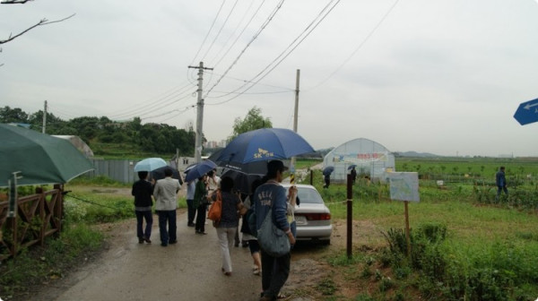 1028252518_82oyJVQL_1af6db593c64f918eb40